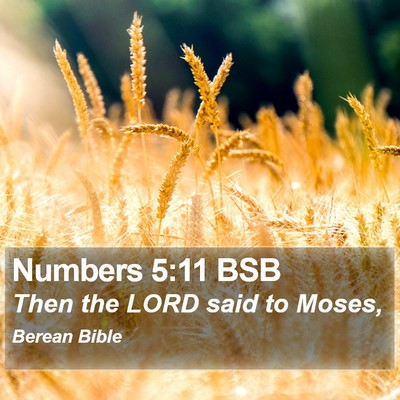 Numbers 5:11 BSB Bible Verse Image