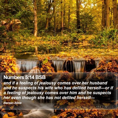 Numbers 5:14 BSB Bible Verse Image