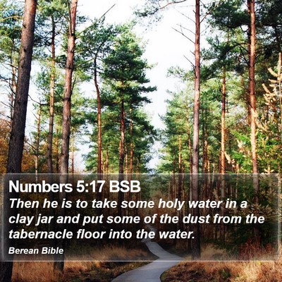 Numbers 5:17 BSB Bible Verse Image