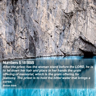 Numbers 5:18 BSB Bible Verse Image