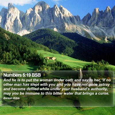 Numbers 5:19 BSB Bible Verse Image