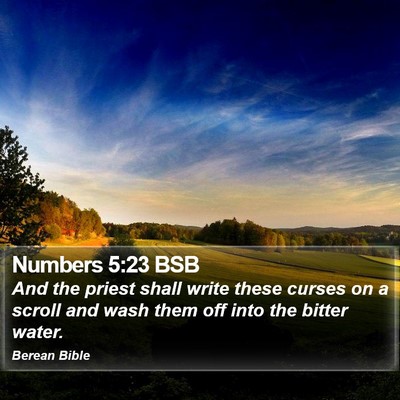 Numbers 5:23 BSB Bible Verse Image