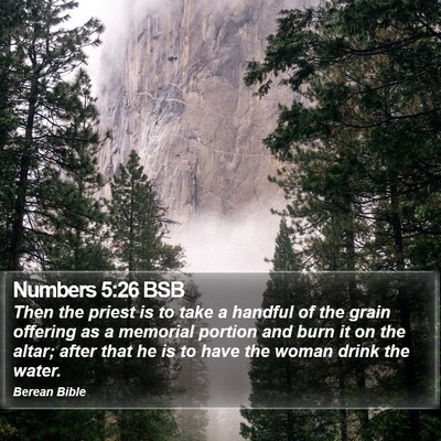 Numbers 5:26 BSB Bible Verse Image