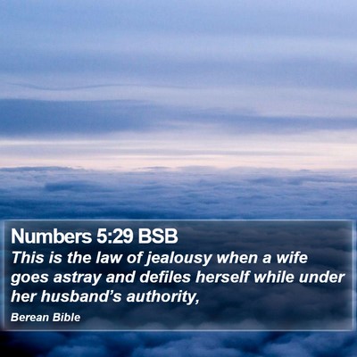 Numbers 5:29 BSB Bible Verse Image