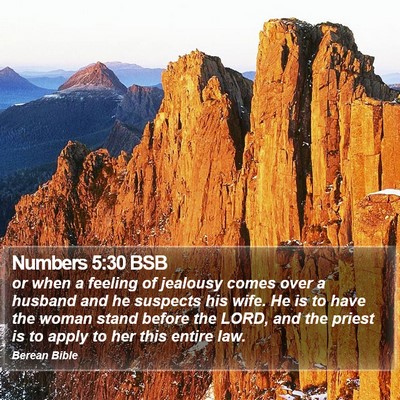 Numbers 5:30 BSB Bible Verse Image