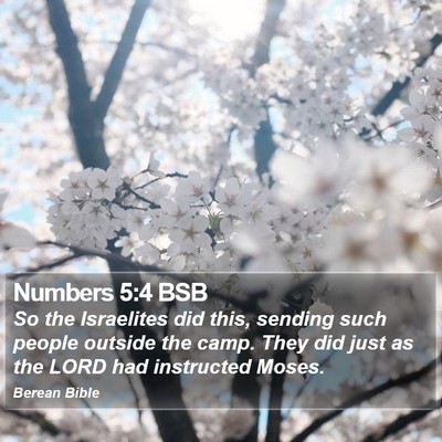 Numbers 5:4 BSB Bible Verse Image