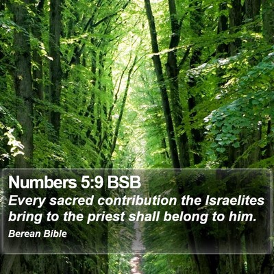 Numbers 5:9 BSB Bible Verse Image