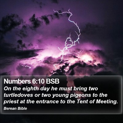 Numbers 6:10 BSB Bible Verse Image
