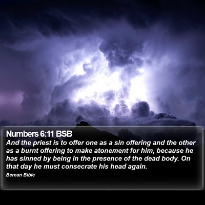 Numbers 6:11 BSB Bible Verse Image