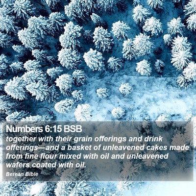 Numbers 6:15 BSB Bible Verse Image