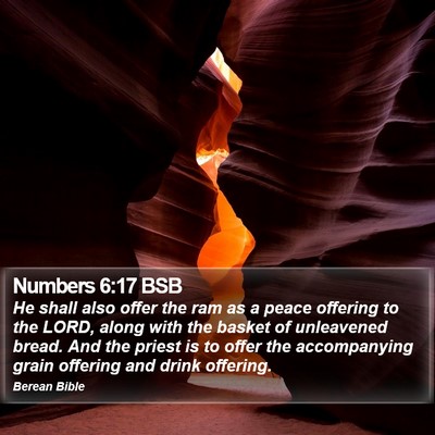 Numbers 6:17 BSB Bible Verse Image