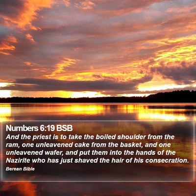 Numbers 6:19 BSB Bible Verse Image