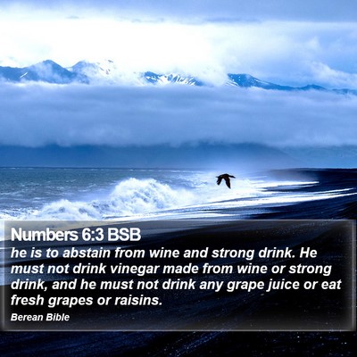 Numbers 6:3 BSB Bible Verse Image