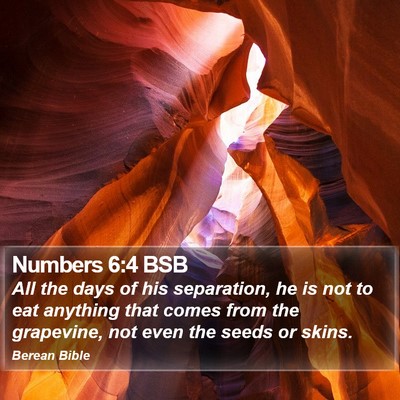 Numbers 6:4 BSB Bible Verse Image