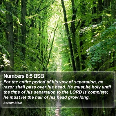 Numbers 6:5 BSB Bible Verse Image