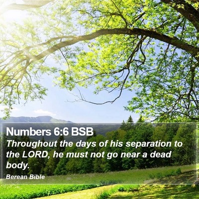Numbers 6:6 BSB Bible Verse Image
