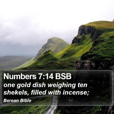 Numbers 7:14 BSB Bible Verse Image