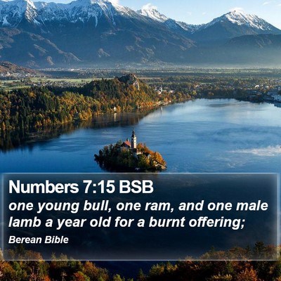 Numbers 7:15 BSB Bible Verse Image