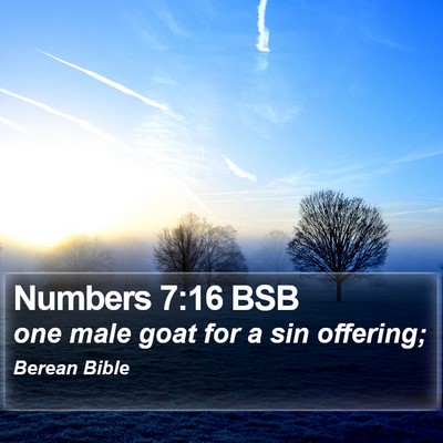 Numbers 7:16 BSB Bible Verse Image