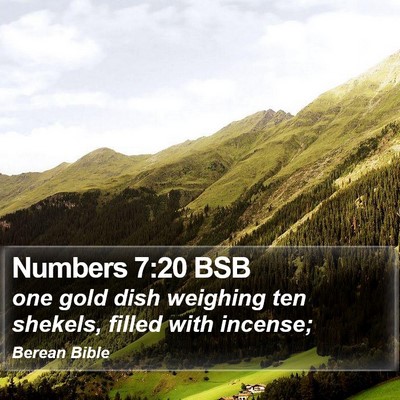 Numbers 7:20 BSB Bible Verse Image