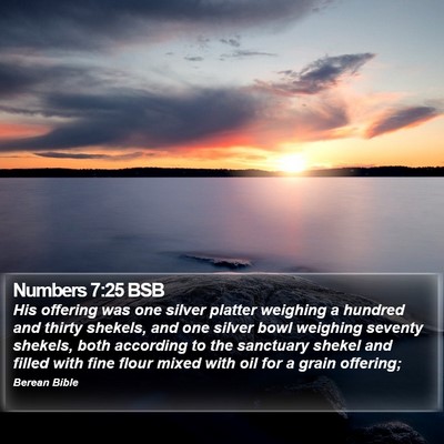 Numbers 7:25 BSB Bible Verse Image