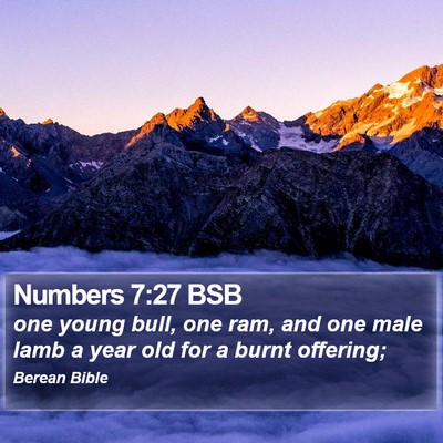 Numbers 7:27 BSB Bible Verse Image