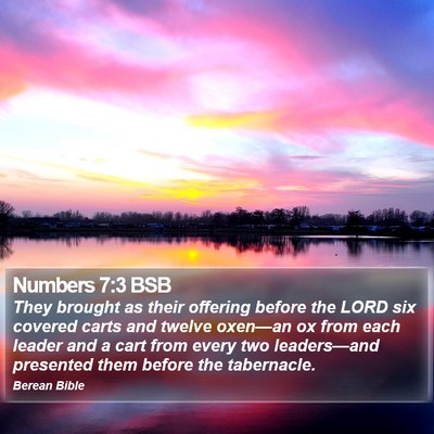 Numbers 7:3 BSB Bible Verse Image