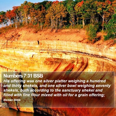 Numbers 7:31 BSB Bible Verse Image
