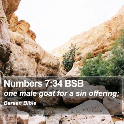 Numbers 7:34 BSB Bible Verse Image