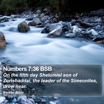 Numbers 7:36 BSB Bible Verse Image