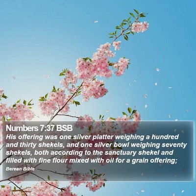 Numbers 7:37 BSB Bible Verse Image