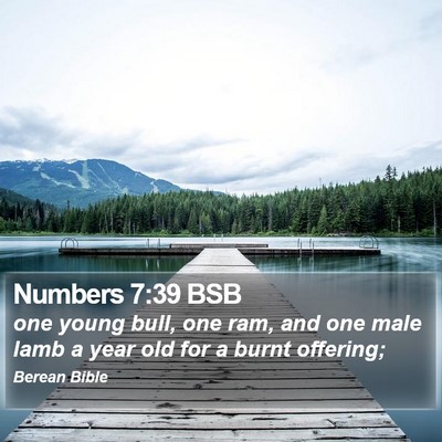 Numbers 7:39 BSB Bible Verse Image