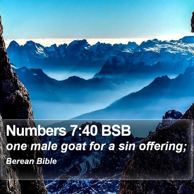 Numbers 7:40 BSB Bible Verse Image
