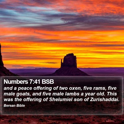 Numbers 7:41 BSB Bible Verse Image