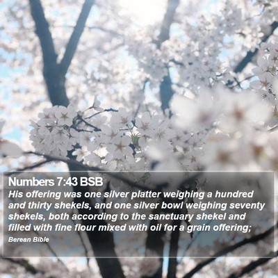 Numbers 7:43 BSB Bible Verse Image