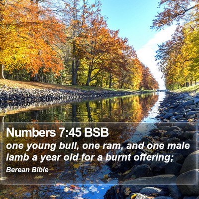 Numbers 7:45 BSB Bible Verse Image