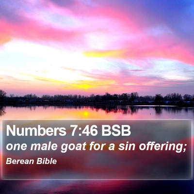 Numbers 7:46 BSB Bible Verse Image