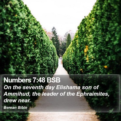 Numbers 7:48 BSB Bible Verse Image