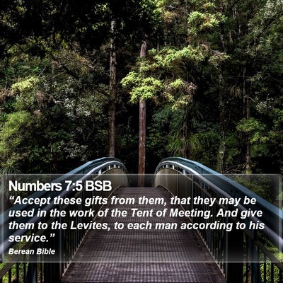 Numbers 7:5 BSB Bible Verse Image