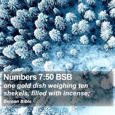 Numbers 7:50 BSB Bible Verse Image