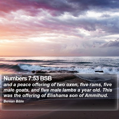 Numbers 7:53 BSB Bible Verse Image