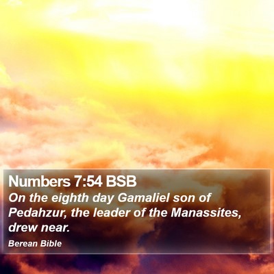 Numbers 7:54 BSB Bible Verse Image