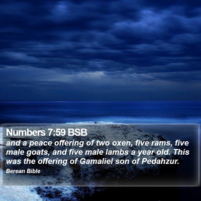 Numbers 7:59 BSB Bible Verse Image