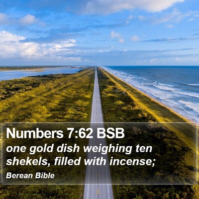 Numbers 7:62 BSB Bible Verse Image