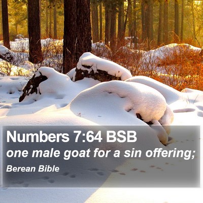 Numbers 7:64 BSB Bible Verse Image