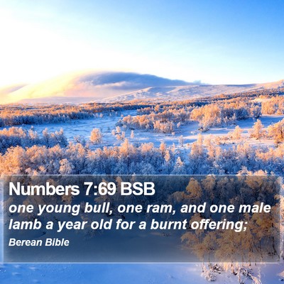 Numbers 7:69 BSB Bible Verse Image