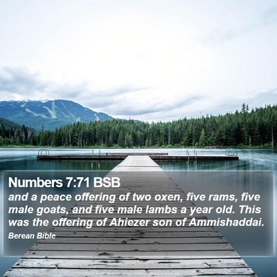 Numbers 7:71 BSB Bible Verse Image
