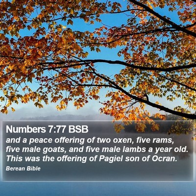 Numbers 7:77 BSB Bible Verse Image