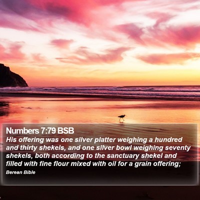 Numbers 7:79 BSB Bible Verse Image