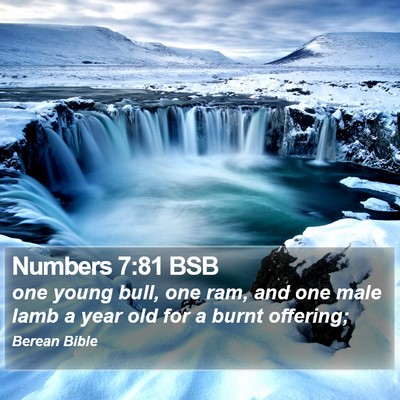 Numbers 7:81 BSB Bible Verse Image